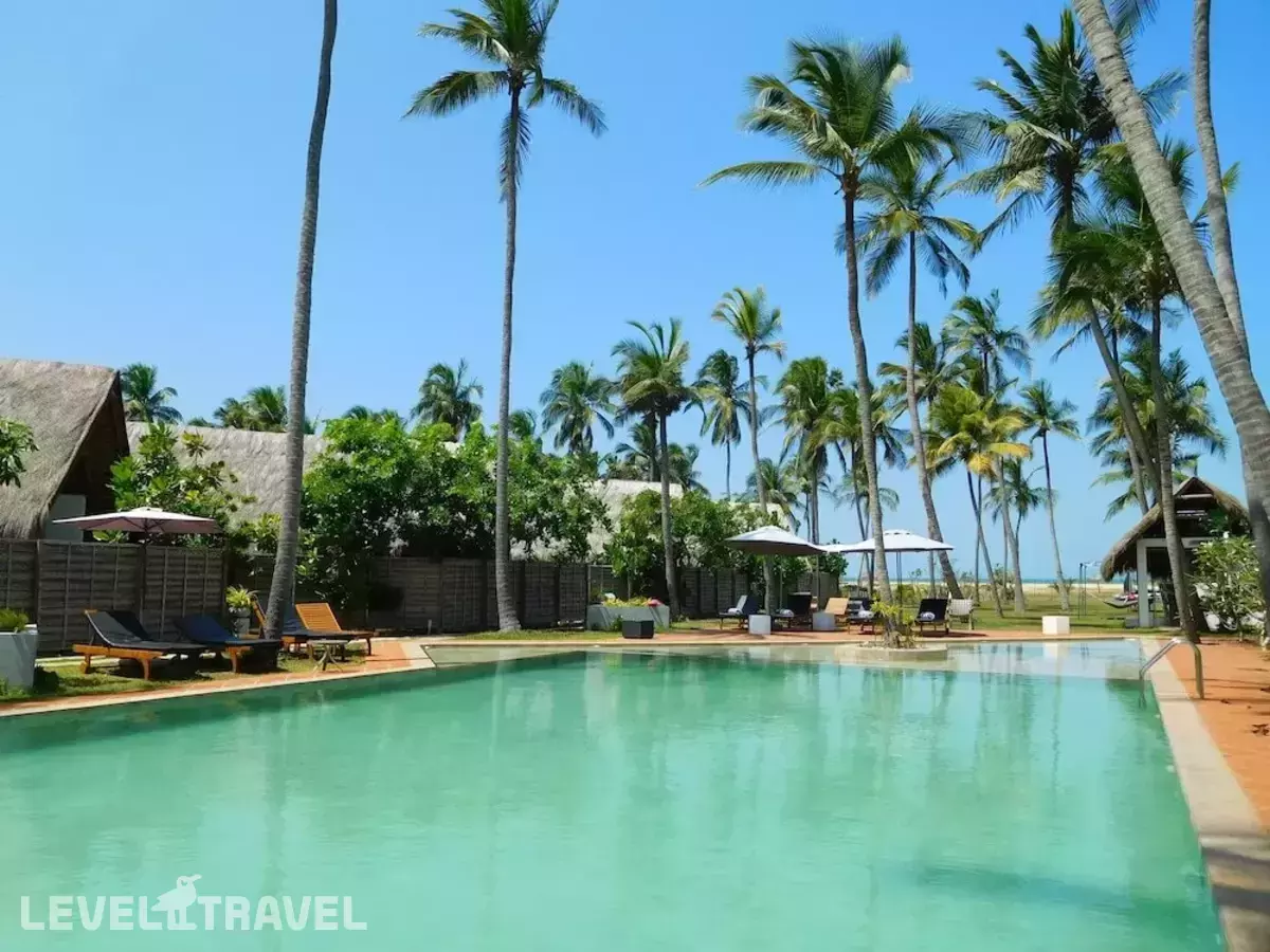 Blue Whale Beach Boutique Resort