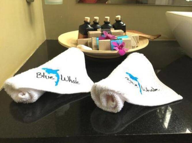 Blue Whale Beach Boutique Resort