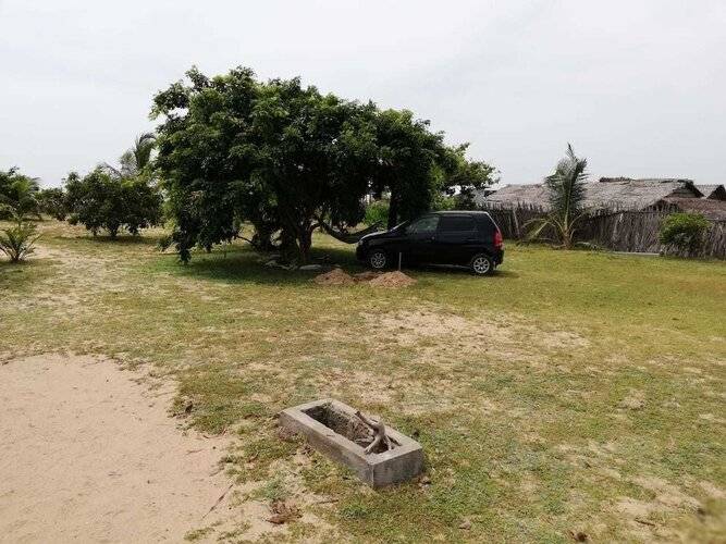 Dolphin Wadiya