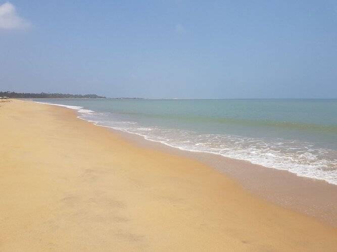 Wellé Wadiya