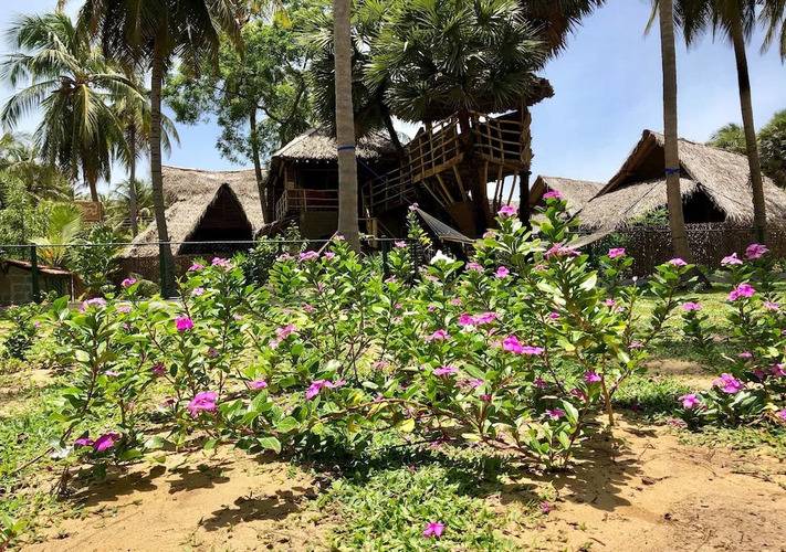 Wind Blend Kite Resort