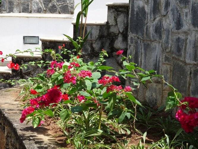 Amandari Holiday Villa