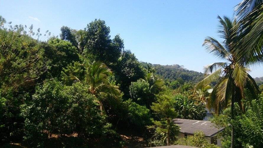 March 9 Hotel Kandy