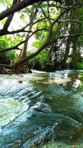 Stream View Family Resort
