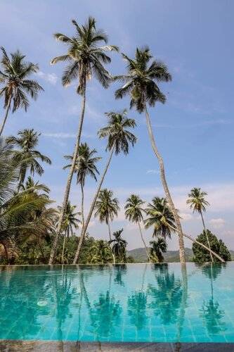 The Flame Tree Estate