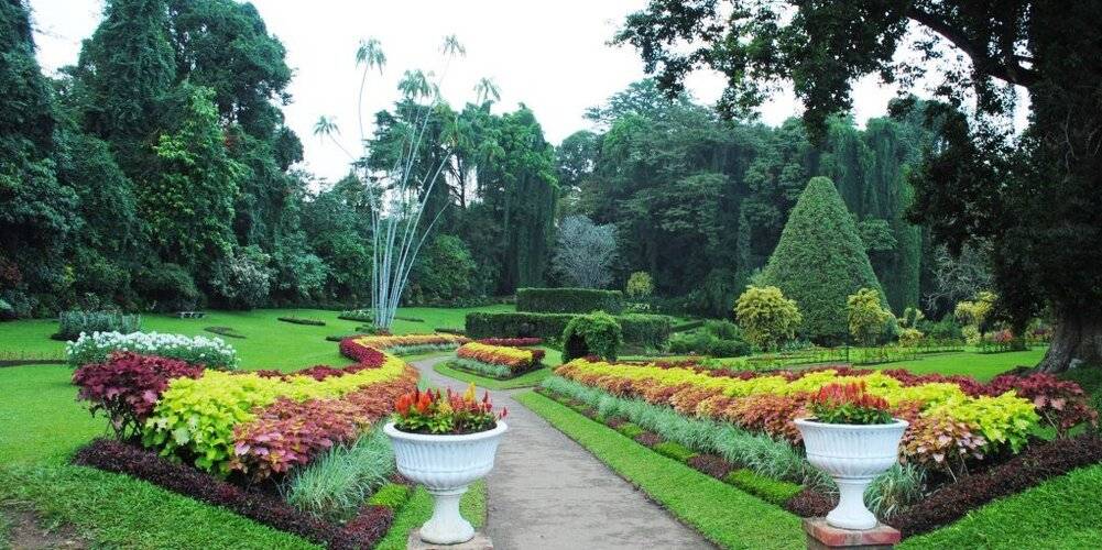 Forest Villa Hotel