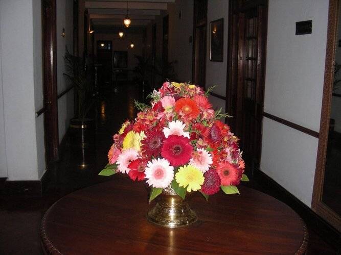 Hotel Suisse