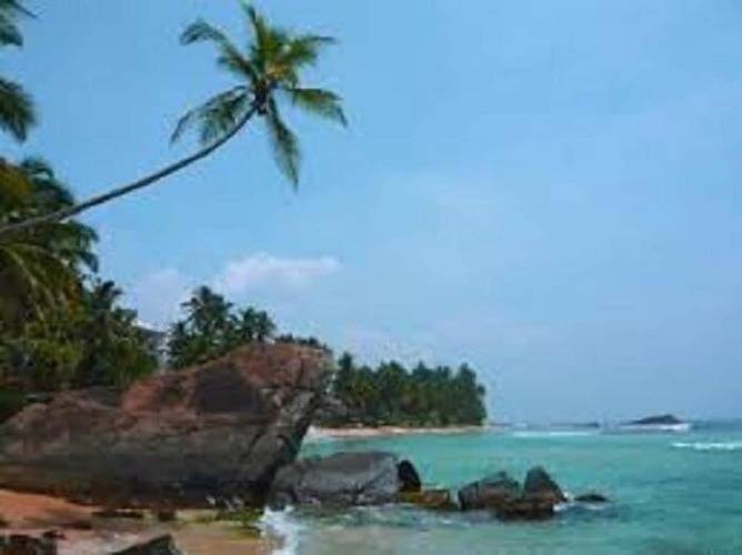Vero Homestay