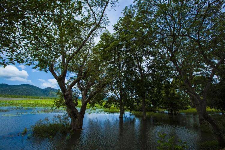 Grand Tamarind Lake