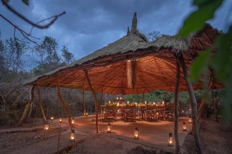 Leopard Safaris Yala By Kk Collection
