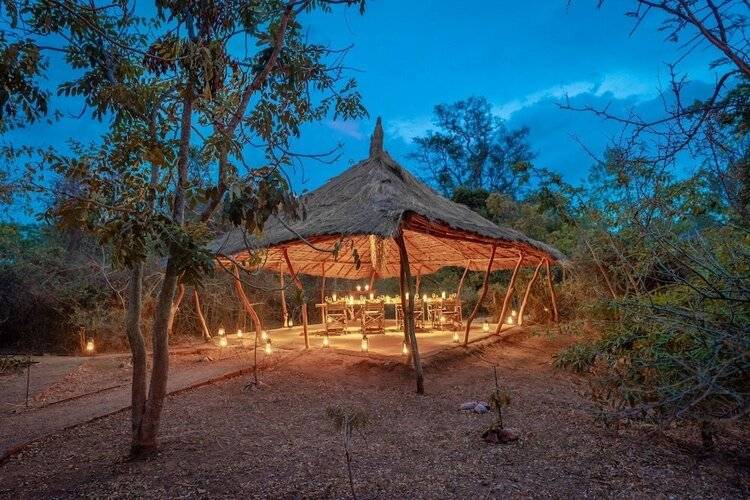 Leopard Safaris Yala By Kk Collection