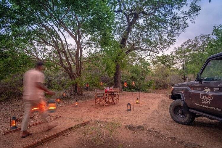 Leopard Safaris Yala By Kk Collection