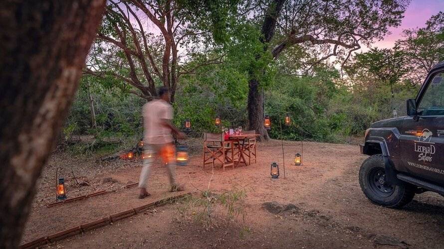 Leopard Safaris Yala By Kk Collection