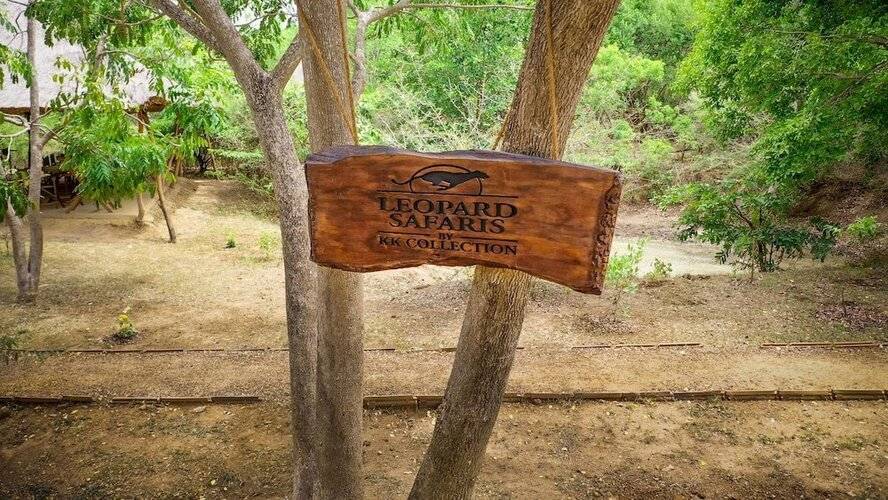 Leopard Safaris Yala By Kk Collection