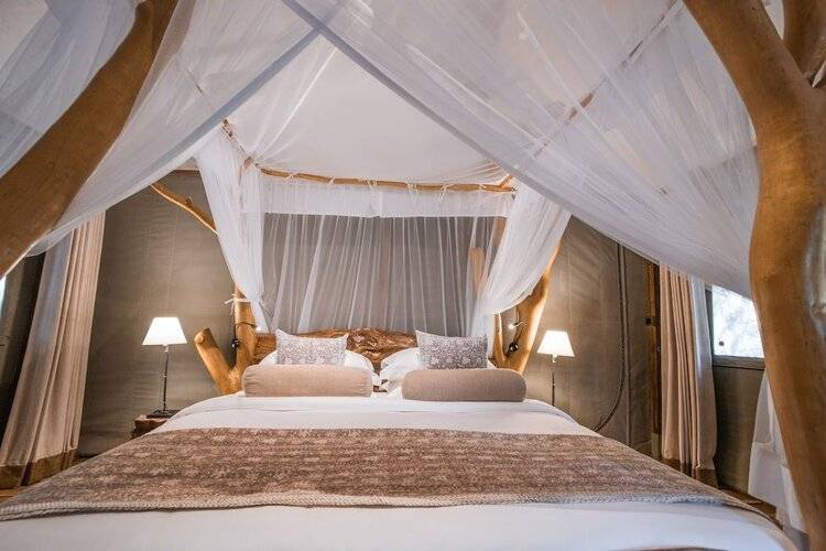 Leopard Safaris Yala By Kk Collection