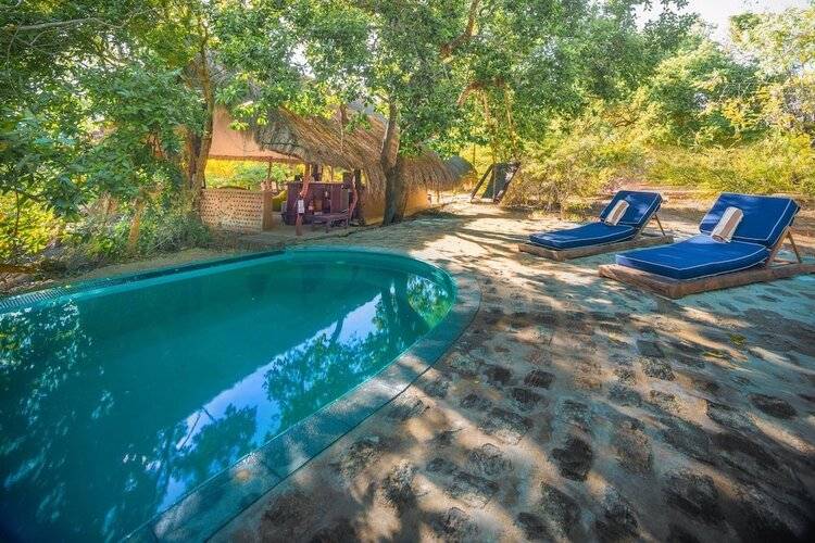 Leopard Safaris Yala By Kk Collection