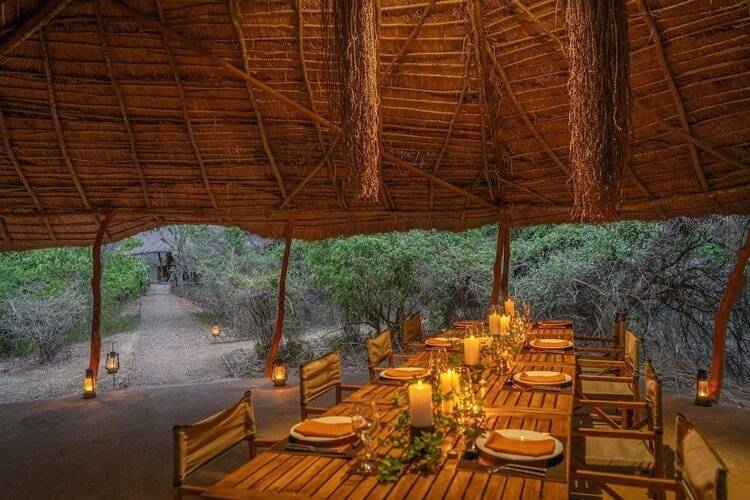 Leopard Safaris Yala By Kk Collection