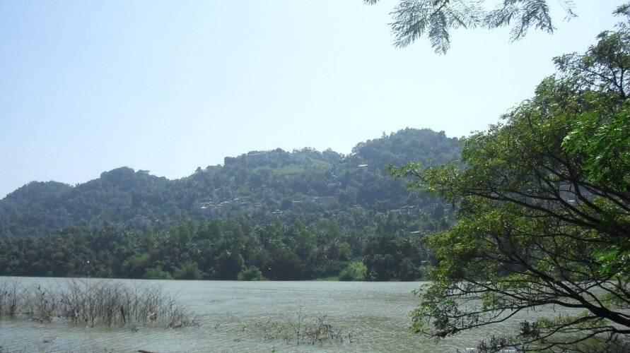 Riverside Homestay Apartments