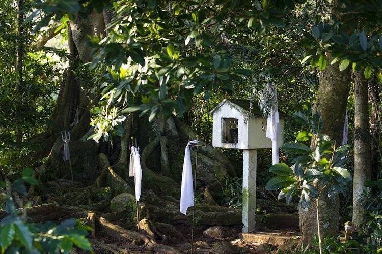 W15 Hanthana Estate Kandy