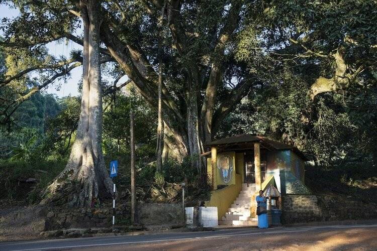 W15 Hanthana Estate Kandy