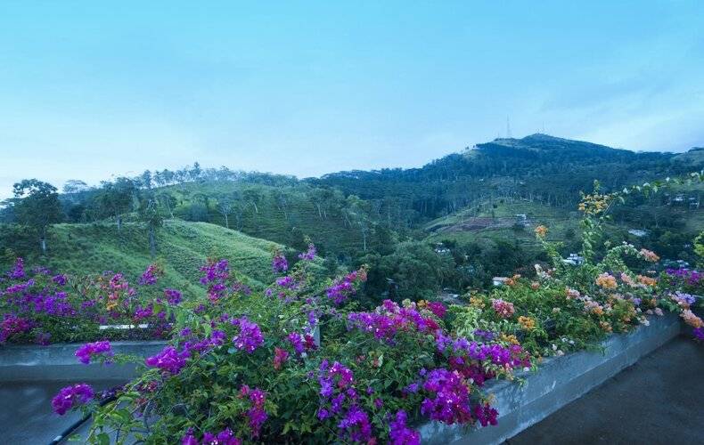 Skyloft Kandy