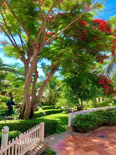 Phu Hai Beach Resort & Spa Phan Thiet