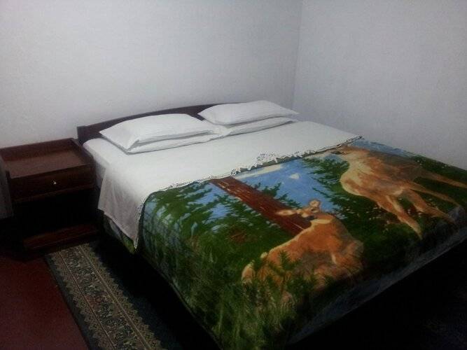 Andrews Hostel