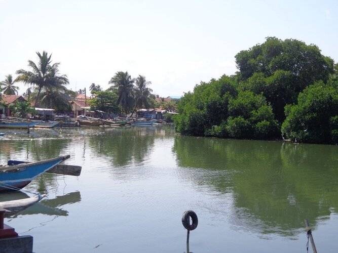 Hotel Star White Negombo