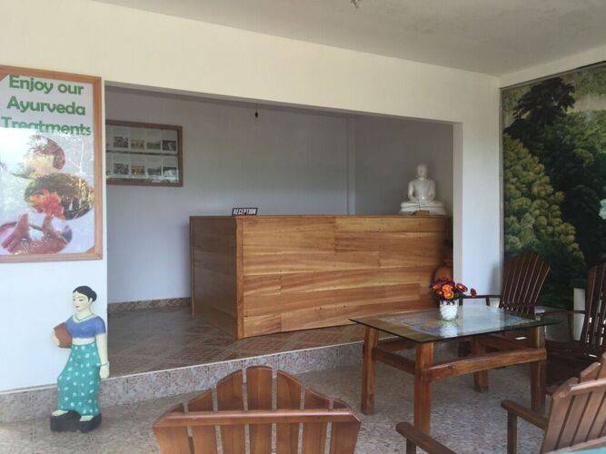 Rainforest Lodge