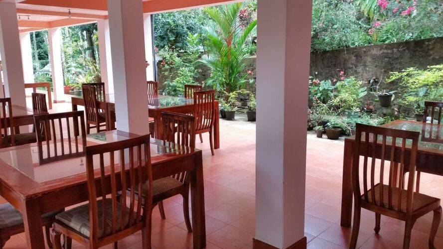 Rainforest Lodge
