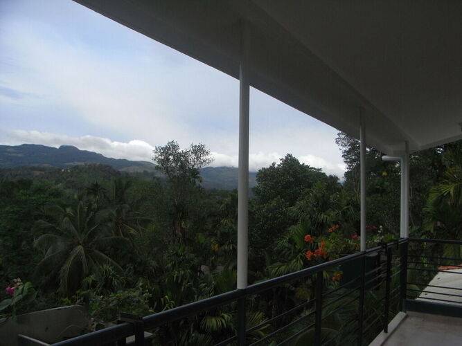 Rainforest Lodge