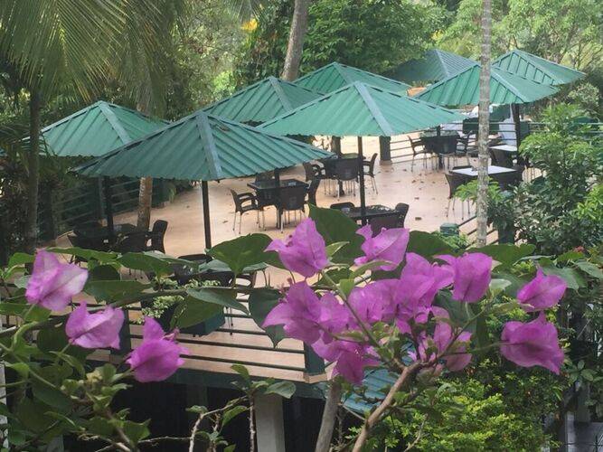 Rainforest Lodge