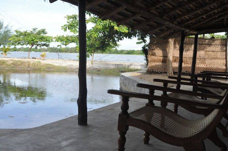 The Cove Pasikuda