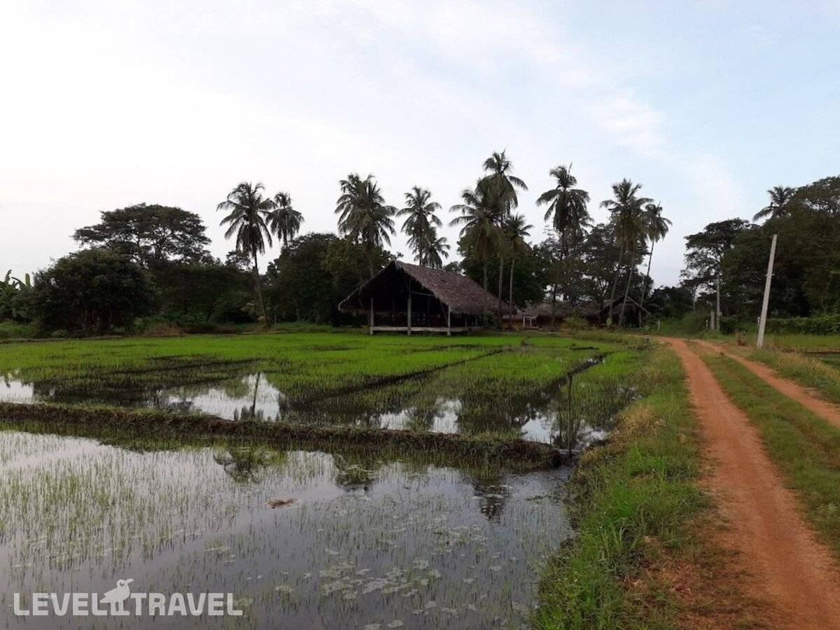 фотографии отеля Kamatha Resort в Шри-Ланка(Полоннарува) - фото №7