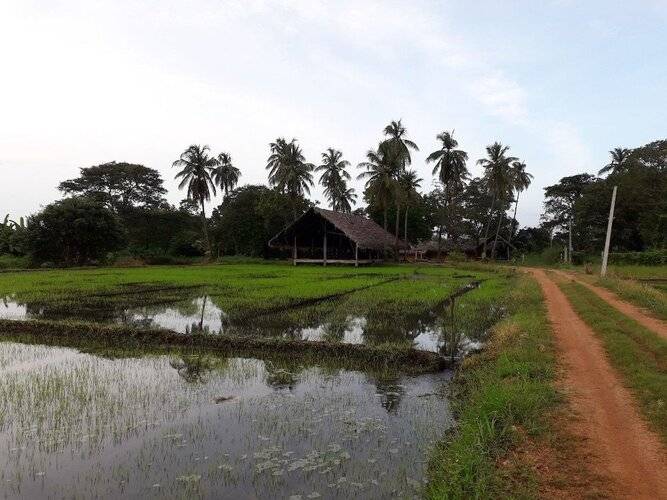 Kamatha Resort