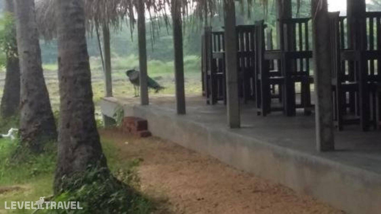 фотографии отеля Kamatha Resort в Шри-Ланка(Полоннарува) - фото №9