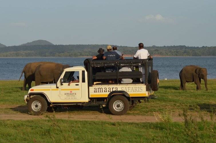 Amaara Forest Hotel Sigiriya