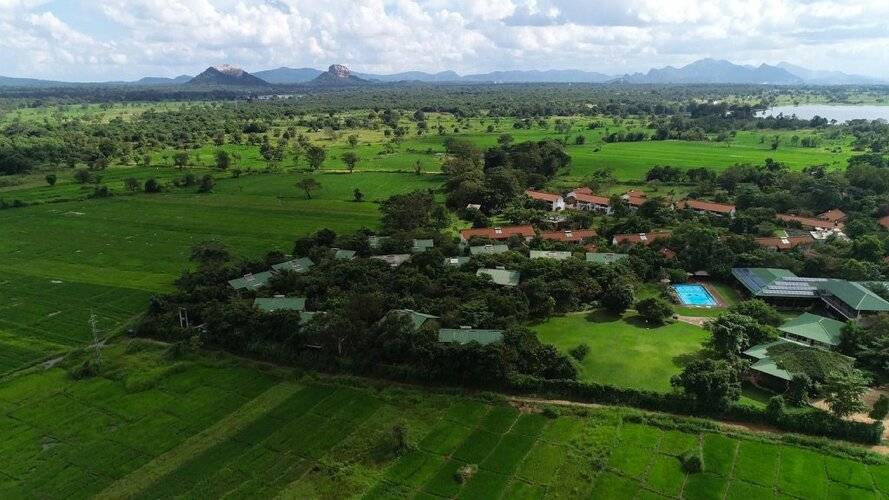 Camellia Resort And Spa