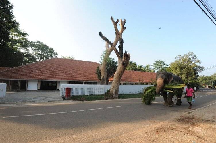 Ekho Sigiriya