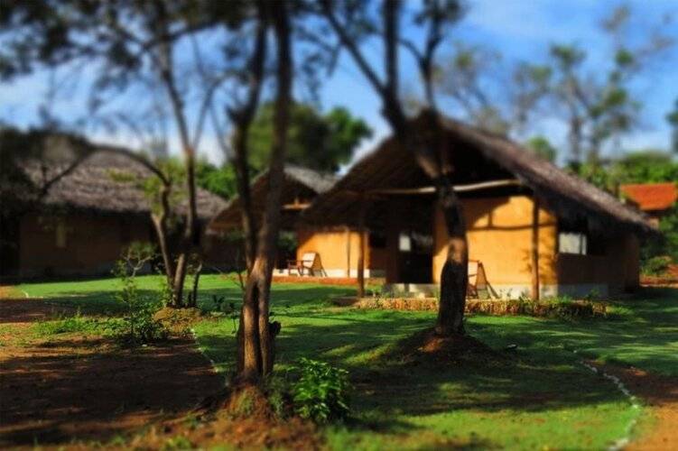 Cloudz Sigiriya (Green Ayurvedic Resort)