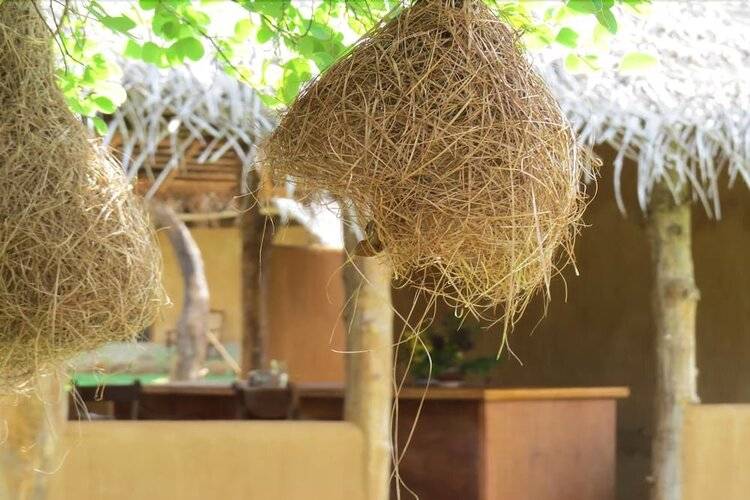 Cloudz Sigiriya (Green Ayurvedic Resort)