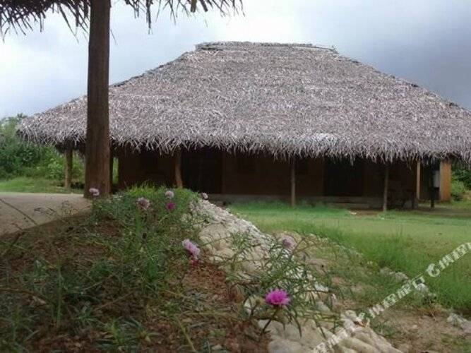 Cloudz Sigiriya (Green Ayurvedic Resort)