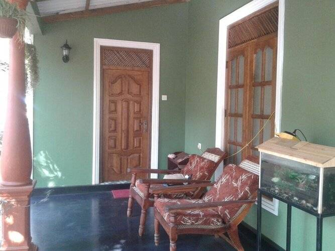 Green Bamboo House