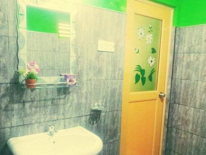 Green Bamboo House