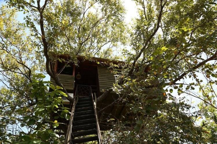 Pinthaliya Resort & Spa