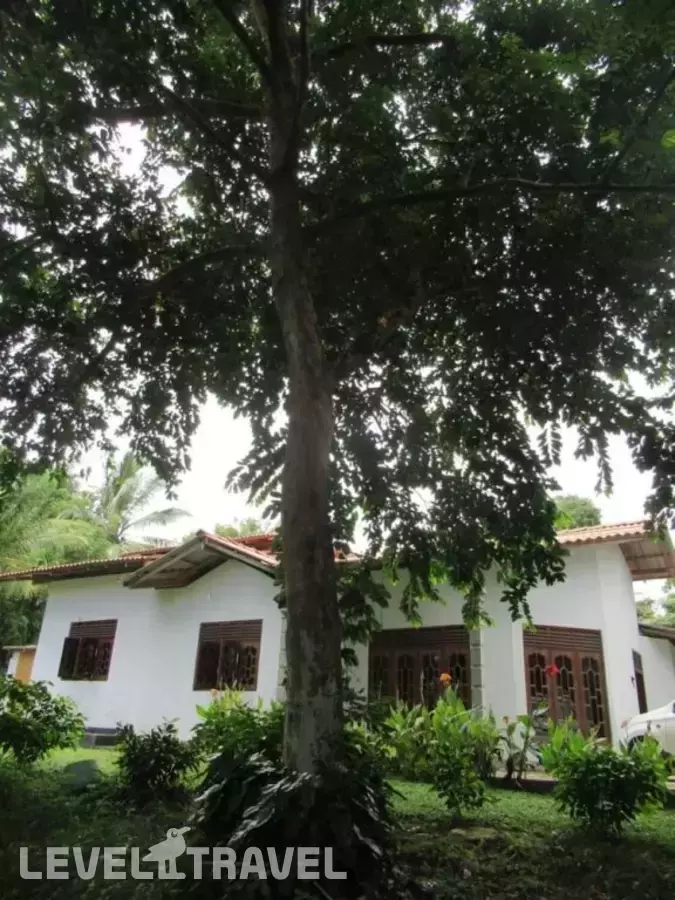 Kalindu Residence