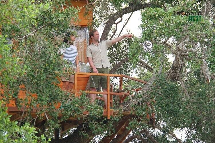Leopard Nest - Glamping In Yala