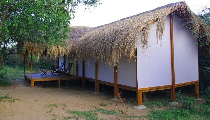 Leopard Nest - Glamping In Yala