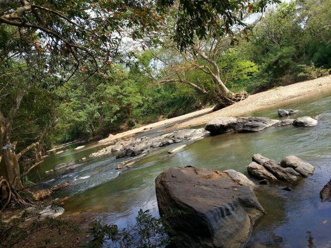 Athgira River Camp