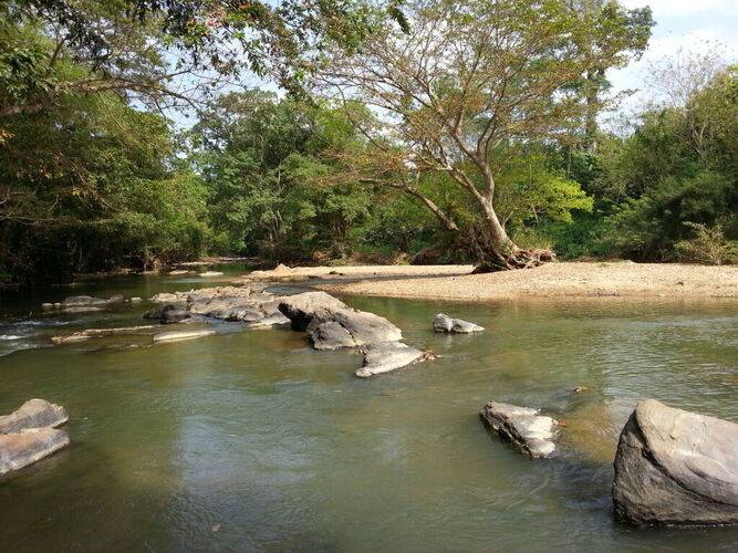 Athgira River Camp